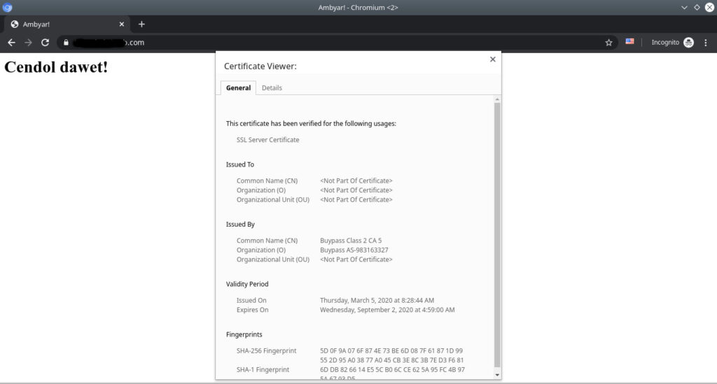 detail-ssl-buypass